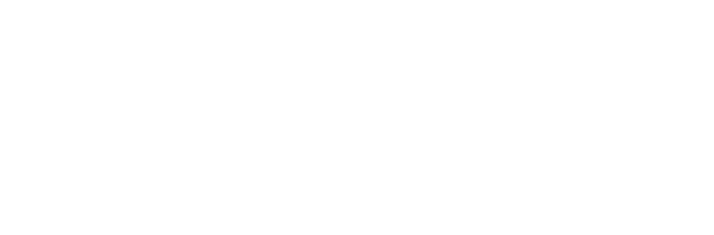 logo-nicea